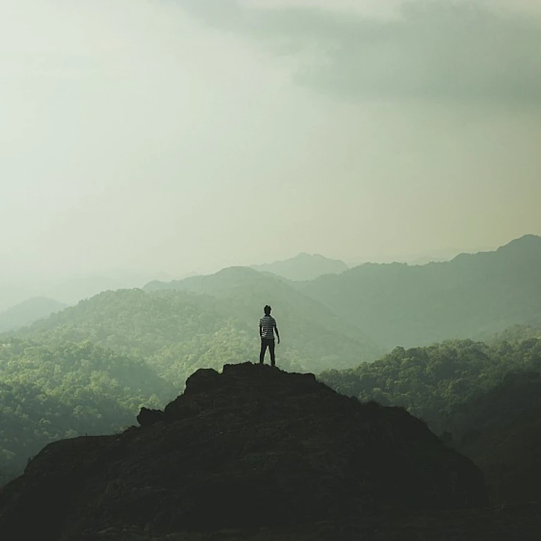 Safeguarding Your Ideas: Understanding Intellectual Property Risks