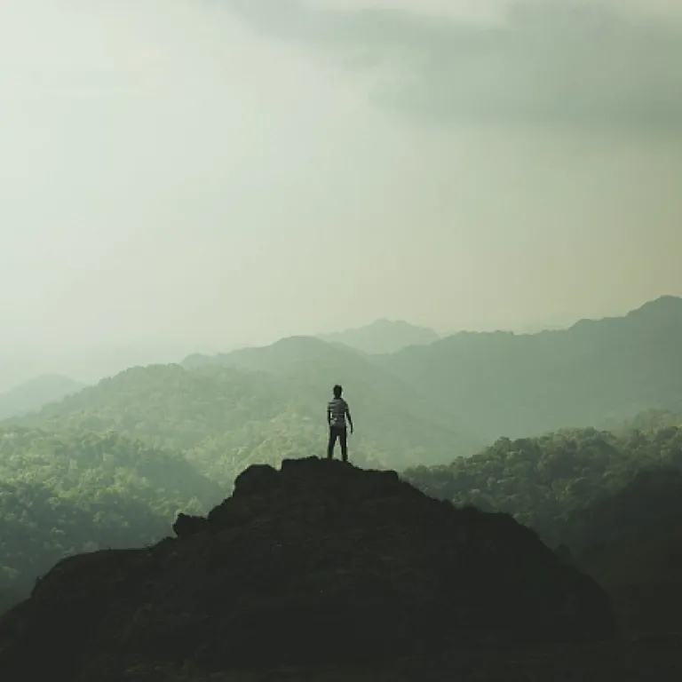 How industrial automation solutions boost efficiency and transform operations